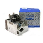 Головка цилиндра ЕВРО-3, 4 (на дв.с Common Rail) в сборе (ПАО)
